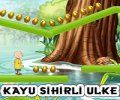 Kayu Sihirli Ülke 