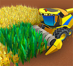 Buğday Çiftliği