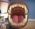 Diş Doktoru 2