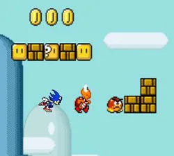 Sonic Mario Dünyasında