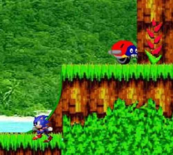 Sonic Ormanda